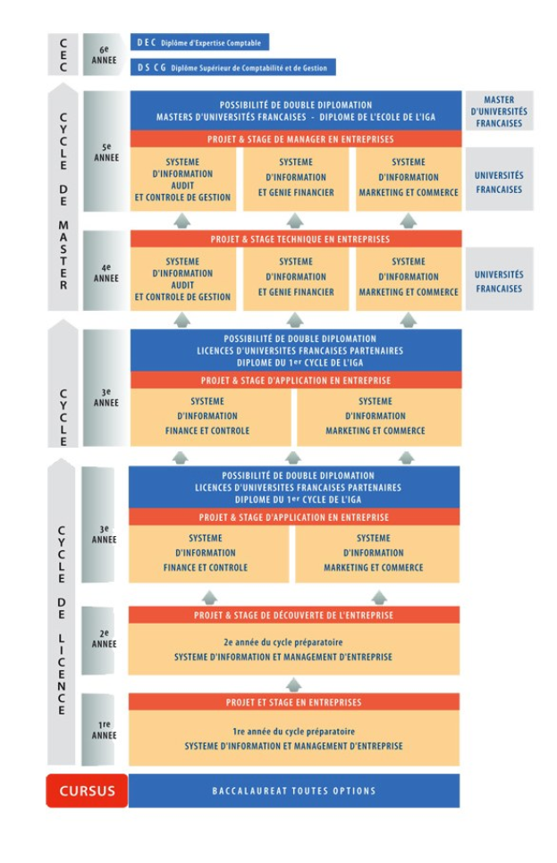 Diagram illustrating a company's organizational structure with stages of business growth connected by arrows, each stage detailed with roles and responsibilities.