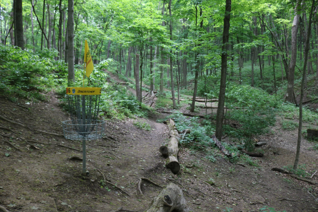 Disc-Golf-Korb und Schild in einem bewaldeten Kurs umgeben von Bäumen, Pflanzen und umgestürzten Stämmen.