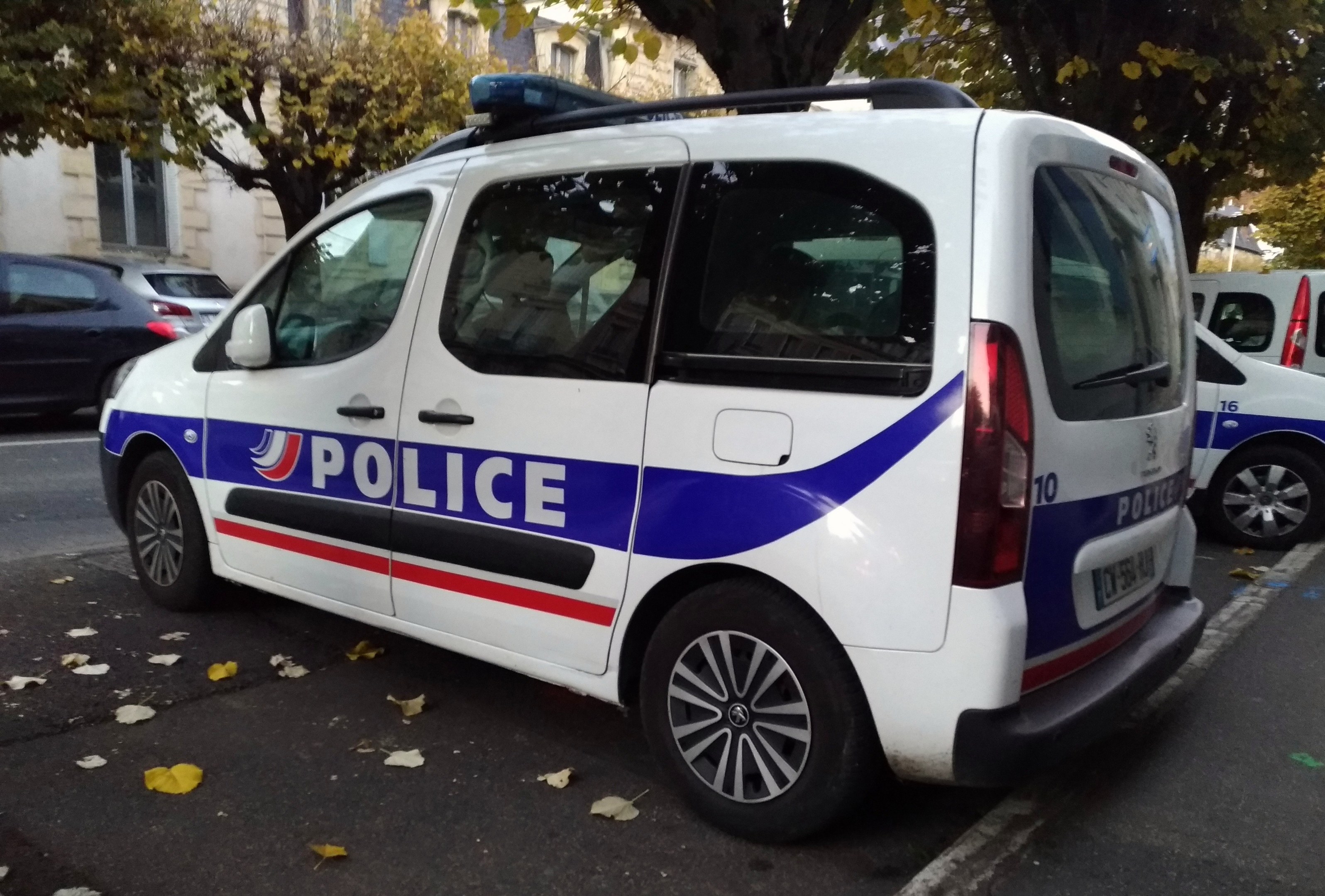 Polizeifahrzeug am Straßenrand mit Gebäuden, Bäumen und verstreuten Blättern im Hintergrund geparkt.