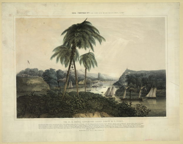Eine Küstenansicht mit Palmen, Booten, Vegetation, Hügeln, einer Flagge und Himmel, beschriftet mit "Die U.S.-Navy-Expedition im Karibikraum."