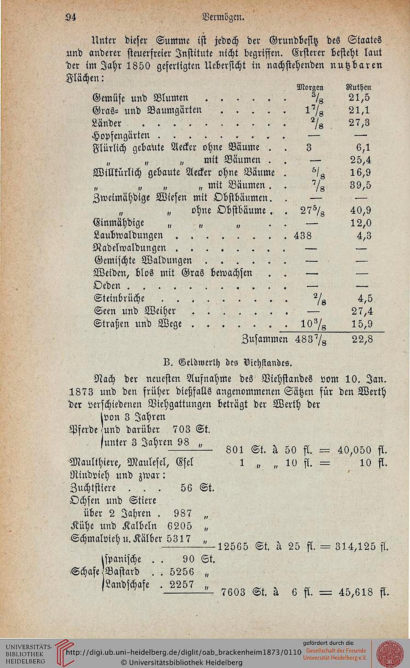 Titelblatt der 1873-Ausgabe der Universität Heidelberg, das Text- und numerische Details zur Universitätsgeschichte zeigt.