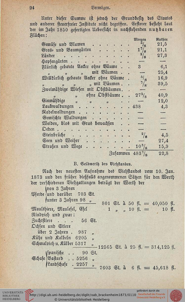 Titelblatt der 1873-Ausgabe der Universität Heidelberg, das Text- und numerische Details zur Universitätsgeschichte zeigt.