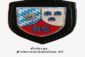A circular badge with the number 85 and German text at the bottom, representing the Bavarian football team.