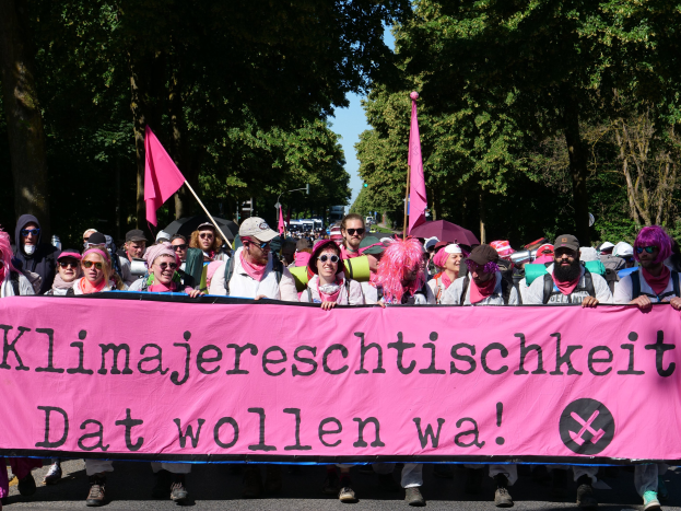 Eine Gruppe von Menschen marschiert auf einer Straße, hält eine pinkfarbene 'Women's March'-Fahne, einige tragen Mützen und Schutzbrillen, andere halten Fahnen, mit Bäumen und einem klaren blauen Himmel im Hintergrund.