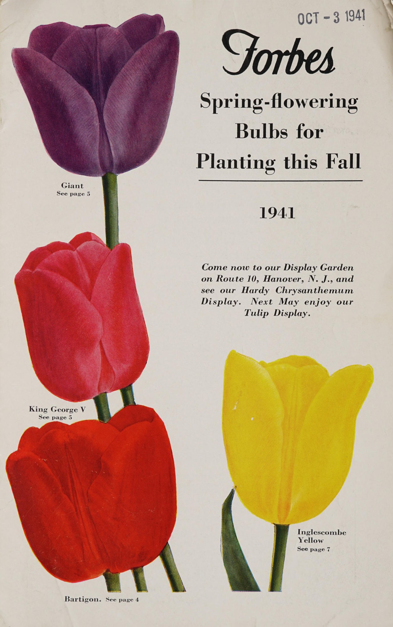 Plakat mit drei Tulpen in rot, gelb und lila symmetrisch auf einem weißen Hintergrund angeordnet, mit der Aufschrift "Forbes Frühlingsblüher für die Pflanzung im Herbst 1941" darüber.
