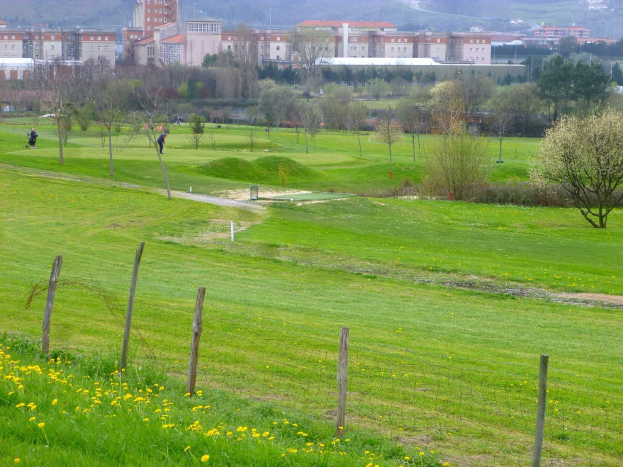 Ein Golfplatz mit grünem Gras, hohen Bäumen, gelben Blumen im Vordergrund, Gebäuden und einem klaren blauen Himmel im Hintergrund, mit Menschen, die Golf spielen.