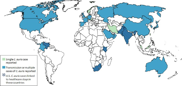 World map with blue and green shading representing the number of COVID-19 cases per country, accompanied by explanatory text on the left.