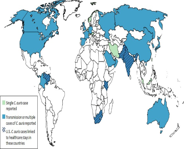 World map with blue and green shading representing the number of COVID-19 cases per country, accompanied by explanatory text on the left.