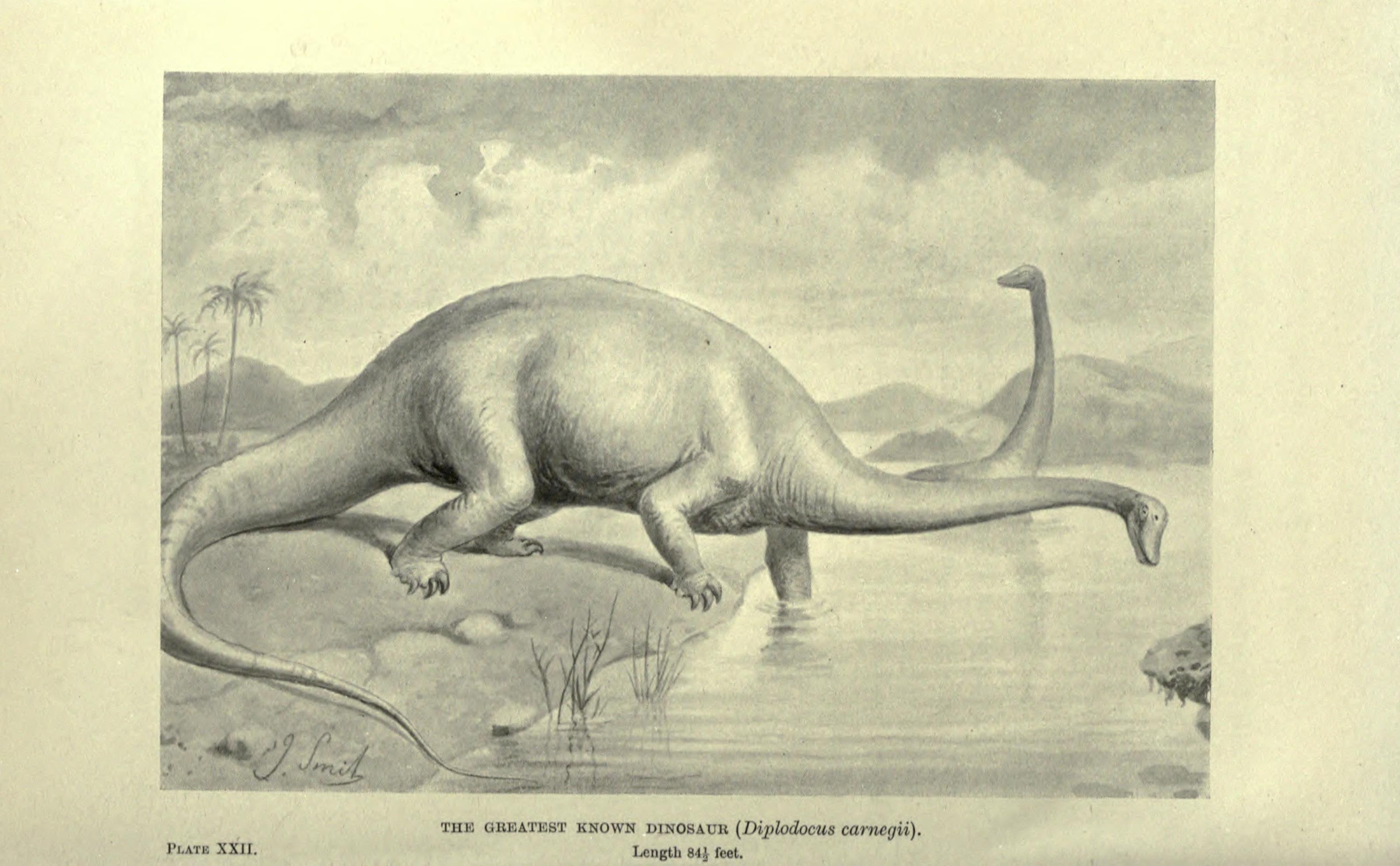 A drawing of a brachiosaurus standing in water surrounded by foliage, hills, and a cloudy sky with text at the bottom.