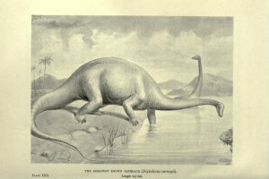 A drawing of a brachiosaurus standing in water surrounded by foliage, hills, and a cloudy sky with text at the bottom.