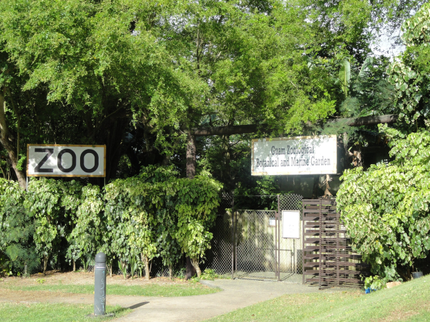 Einfahrt zu einem Zoo mit einem "Zoo"-Schild, grünem Gras, hohen Bäumen, einem hellblauen Himmel, einem Pfahl im Vordergrund und einem Maschendrahtzaun im Hintergrund.
