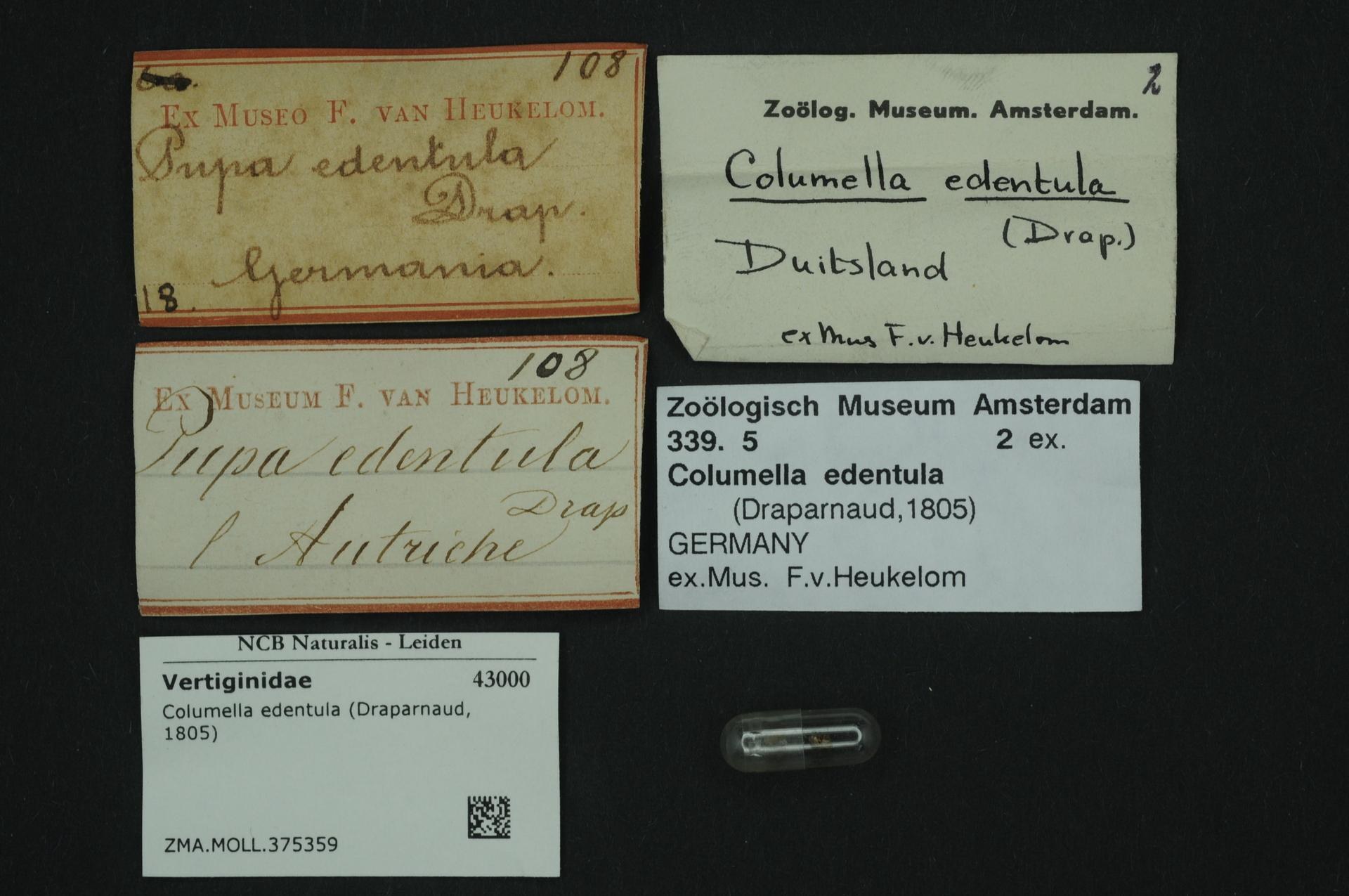 A collection of old business cards with text related to columella edentula, a Dutch medicine, alongside a small paper with a barcode.