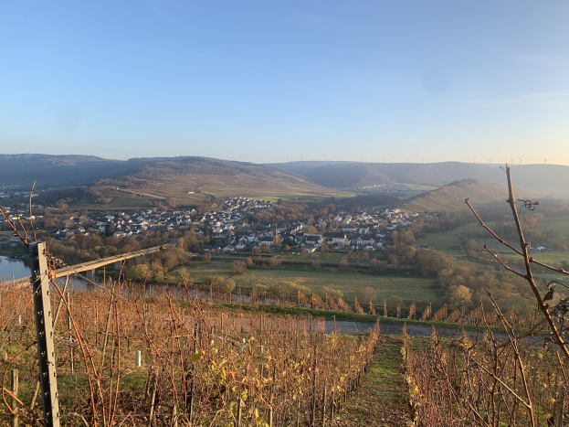 Eine malerische Aussicht auf das Rheintal von einem Hügel aus, mit grünen Blättern, Häusern und einer Flussbrücke unter einem blauen Himmel, mit sanften Hügeln im Hintergrund.