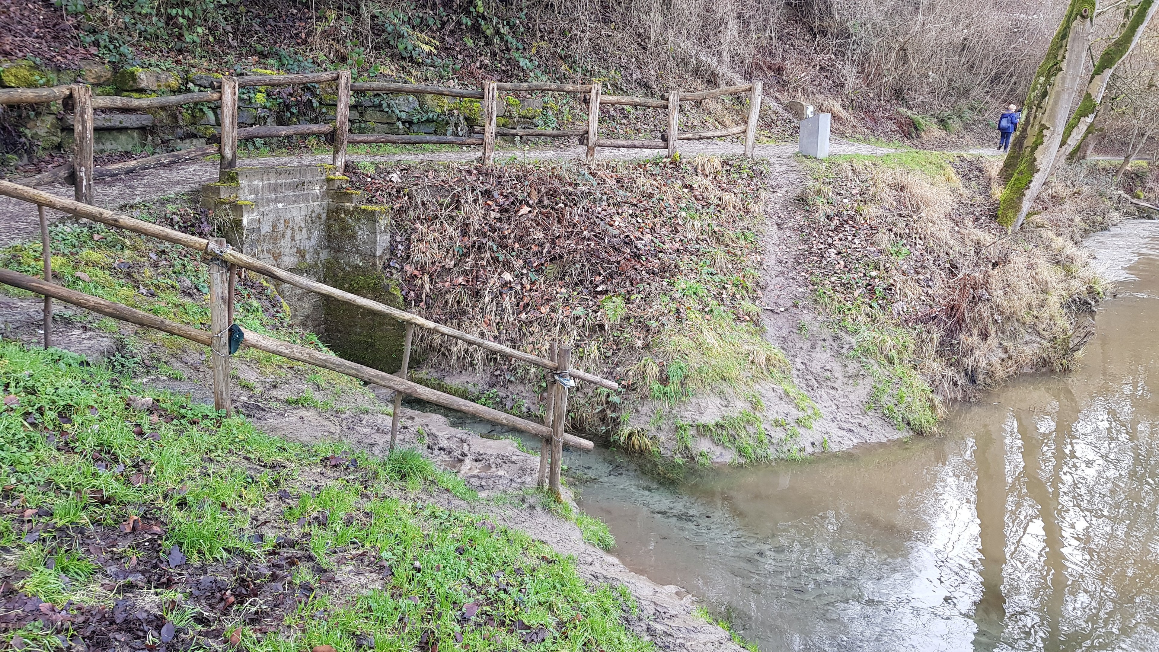 Ein kleiner Bach fließt durch einen bewaldeten Bereich neben einem hölzernen Zaun, mit einer Person in der Nähe, umgeben von Gras, trockenen Blättern, Pflanzen und Bäumen.