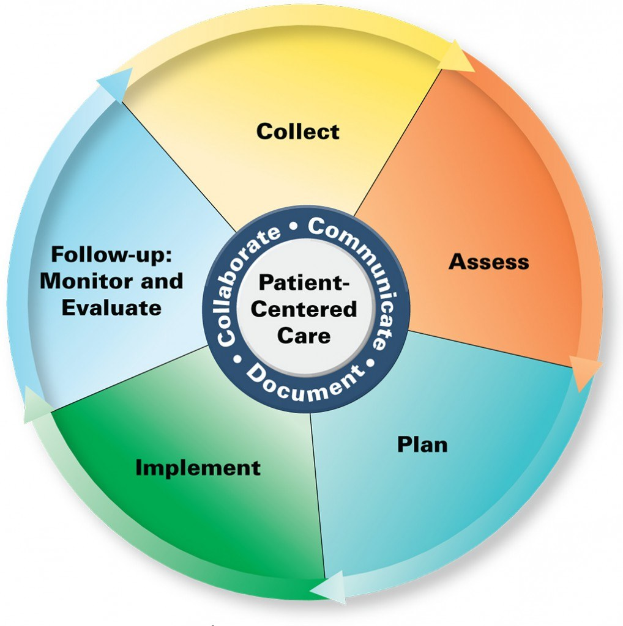 Kreisförmige Diagramm mit der Überschrift "patientenorientierte Pflege" mit vier farbigen Abschnitten, die jeweils mit einem spezifischen Pflegebereich beschriftet sind.