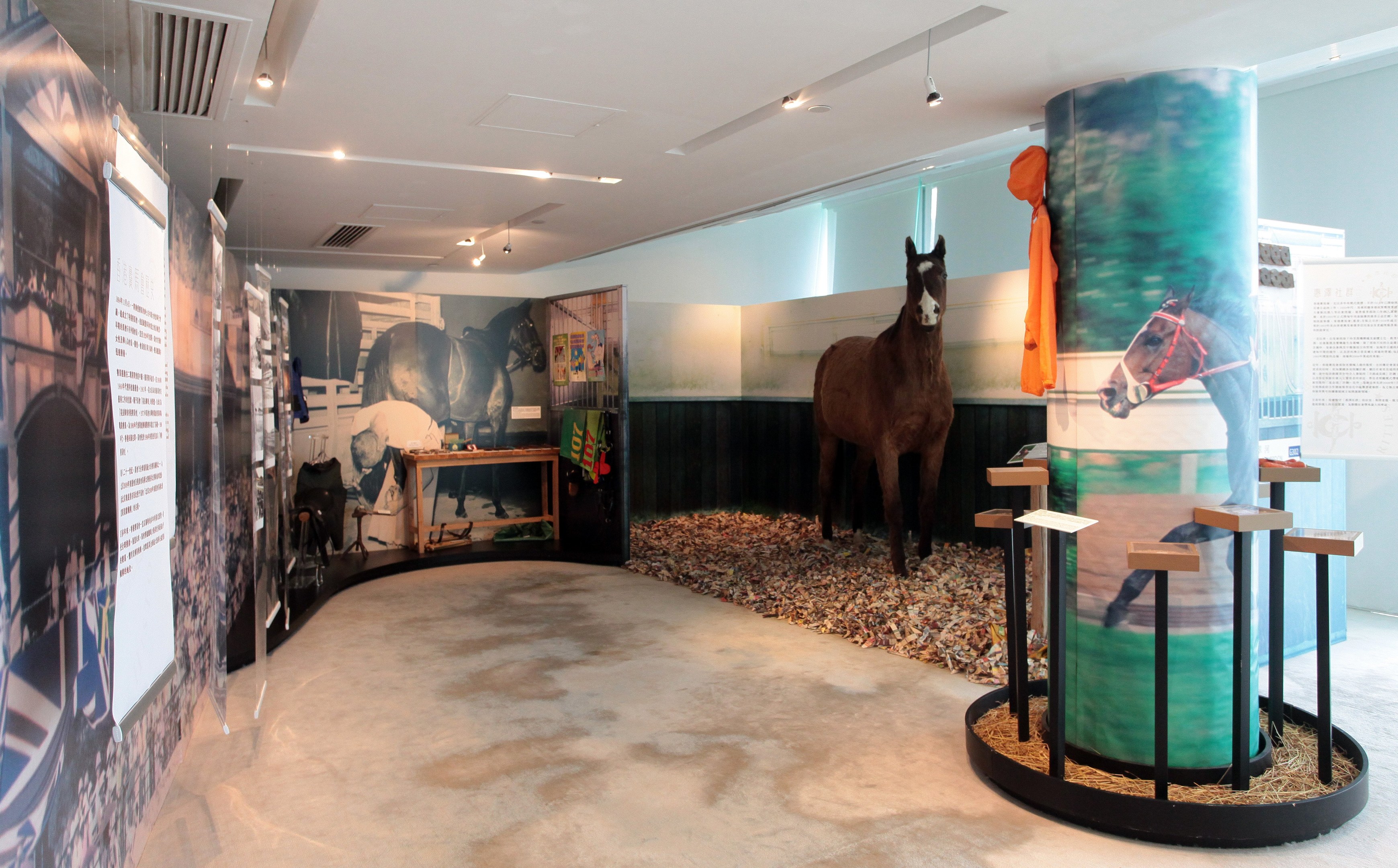 Ein Raum mit einem erhaltenen Pferd auf Display, umgeben von Postern an den Wänden, einem Tisch mit Gegenständen und Deckenlichtern, mit dem Boden unten sichtbar.