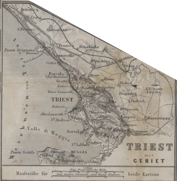 Wadephul bedauert mangelnde Niederdeutsch-Kenntnisse bei seinen Kindern