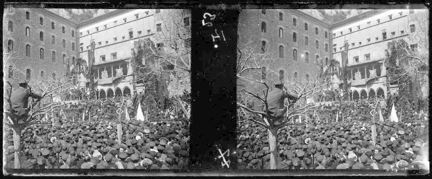 Wladiwostok stoppt umstrittene Bebauungspläne nach massivem Bürgerprotest