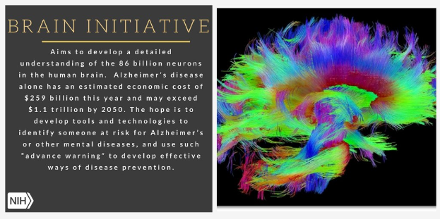 Plakat mit einer bunten Illustration eines Gehirns auf der rechten Seite und Text auf der linken Seite, der das Ziel der Brain-Initiative beschreibt, die 86 Milliarden Neuronen im menschlichen Gehirn zu verstehen.