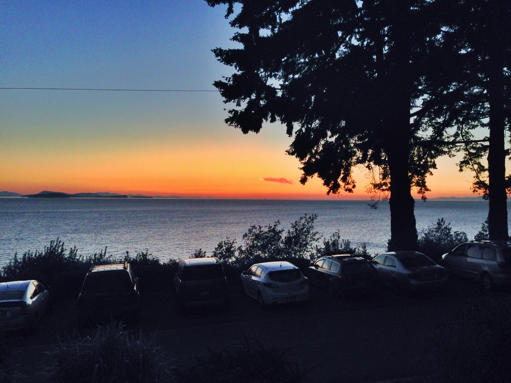 Eine friedliche Küstenlandschaft mit zwei Bäumen und einigen Pflanzen im Vordergrund, dahinter eine Reihe geparkter Autos und das Meer im Hintergrund.