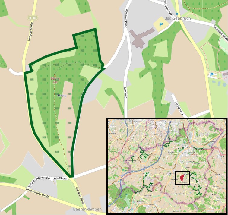 Eine detaillierte Stadtkarte mit einem zentralen grünen Bereich, der für die geplante Entwicklung markiert ist, umgeben von Straßen, Gebäuden und Sehenswürdigkeiten.