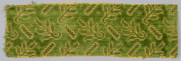 Algacore-Projekt der Textil- und Bekleidungstechnologie-Fakultät an der Hochschule Niederrhein - Bekleidung aus Algen in der Zukunft?