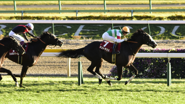 Gua Lipa triumphiert überraschend im Diana-Trial von Hoppegarten