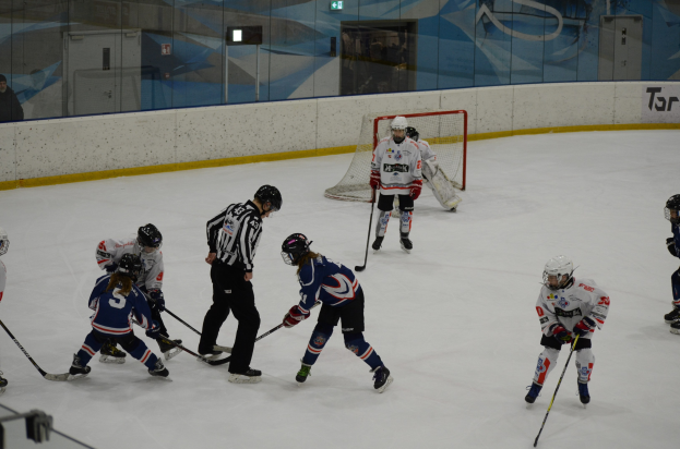 Gruppe von Menschen beim Eishockeyspielen auf einer Indoor-Eisbahn, mit Helmen und Stöcken, einem Netz und Zuschauern auf der linken Seite und einer Werbung im Hintergrund.