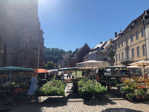 A bustling market in the old town of Heidelberg, Germany, with people sitting and standing around tables holding flower pots and umbrellas, set against buildings, trees, and a clear blue sky.