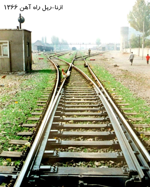 Ein Vogel sitzt auf einem Bahnsteig, umgeben von Gras und Steinen, mit Menschen in der Nähe, Bäumen, Polen, Gebäuden und dem Himmel im Hintergrund, und Text oben.