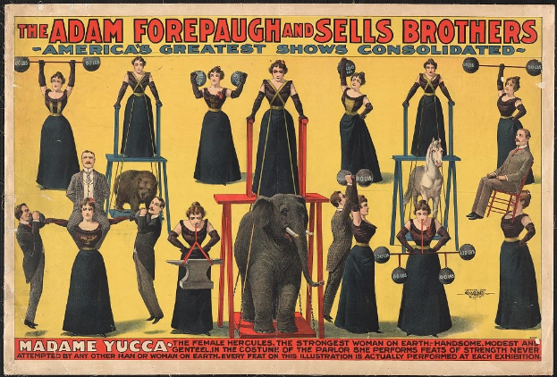 Plakat für die vereinigten Shows von Adam Forepaugh und Sells Brothers mit Performern auf Hockern und einem Elefanten sowie Text.