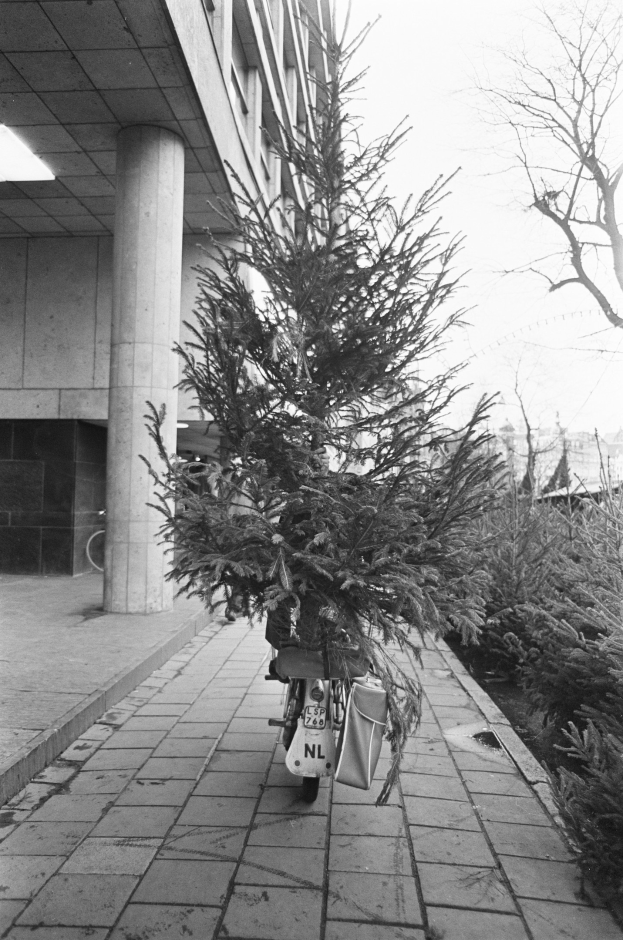 Ein Schwarz-Weiß-Foto eines Fahrrads mit einem Weihnachtsbaum auf dem Gepäckträger, das vor einem Gebäude mit Säulen und Deckenleuchten geparkt ist, mit Pflanzen und Bäumen rechts und Gebäuden und Himmel im Hintergrund.