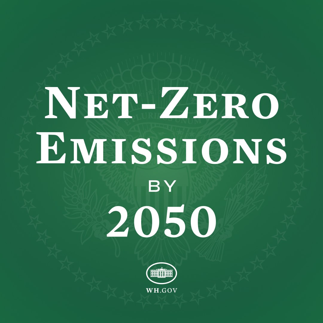 Weißer fetter Text "net-zero Emissionen bis 2050" auf einem festen grünen Hintergrund.